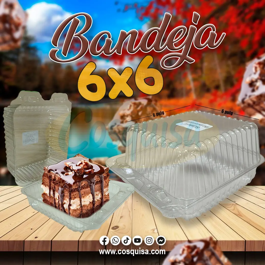 Bandeja 6x6 postres