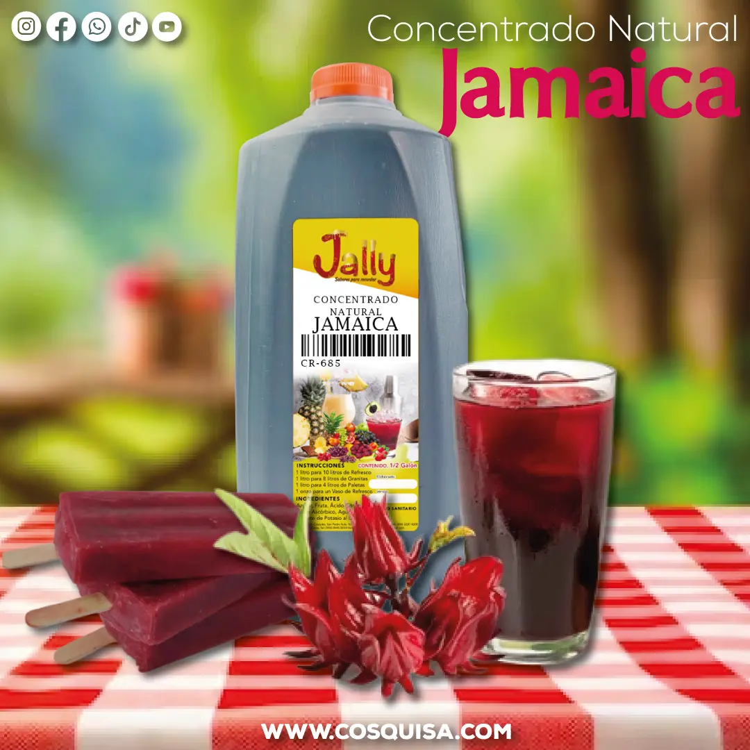Concentrado de jamaica