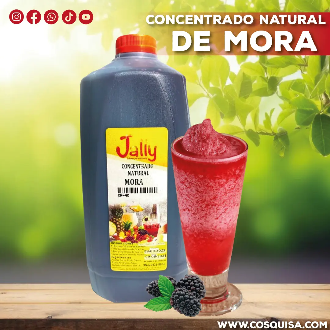 Concentrado de mora