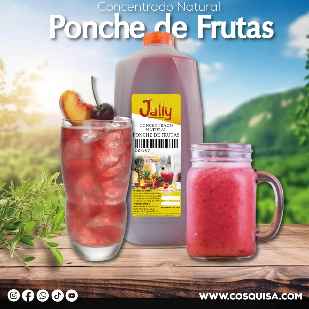 Concentrado de ponche de frutas