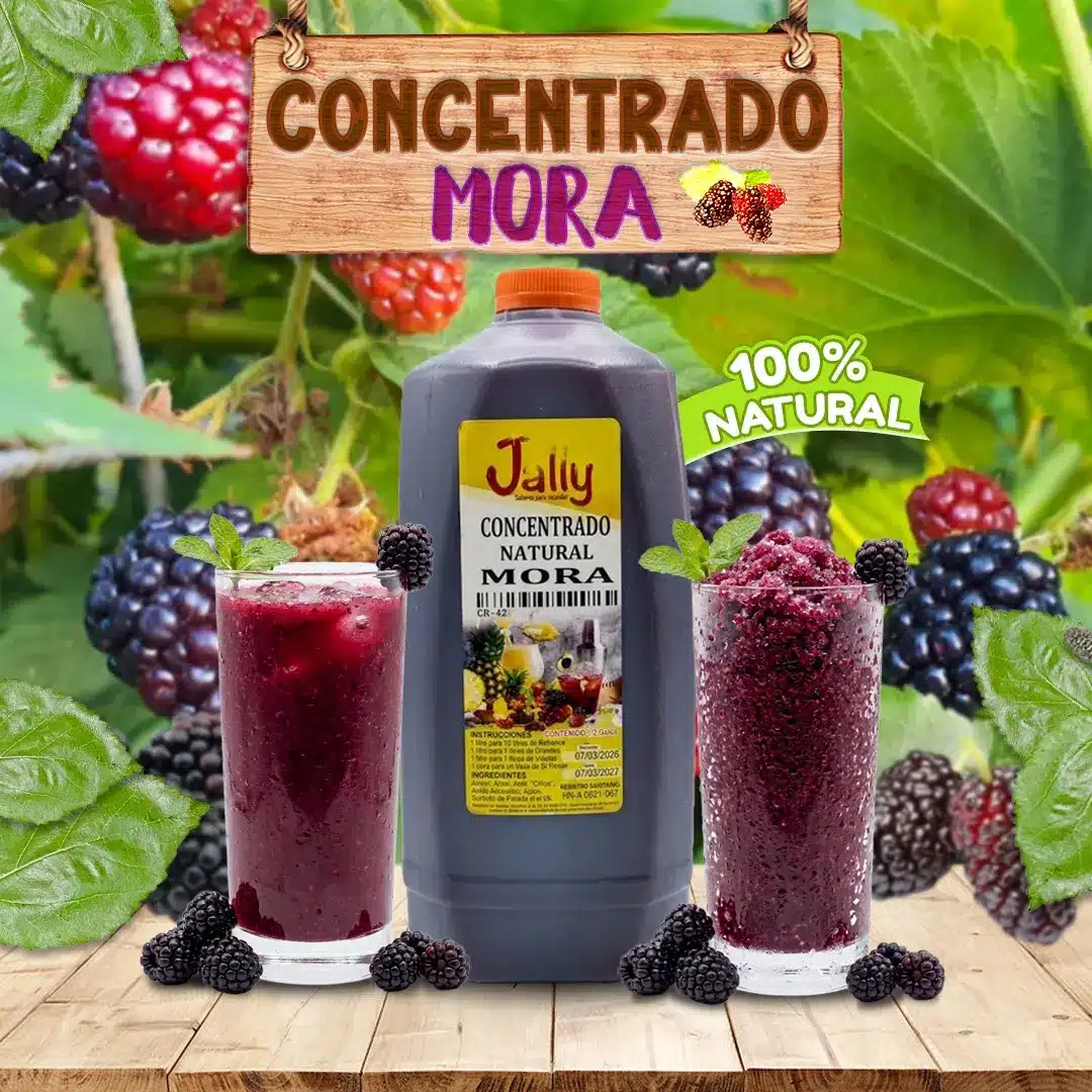 Concentrado de Mora para preparar bebidas, granitas, paletas y helados con intenso sabor tropical